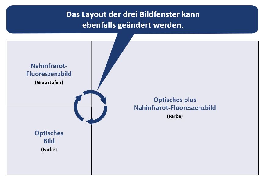 Simultaneous Three-Image Display Provides Clear Understanding at a Glance